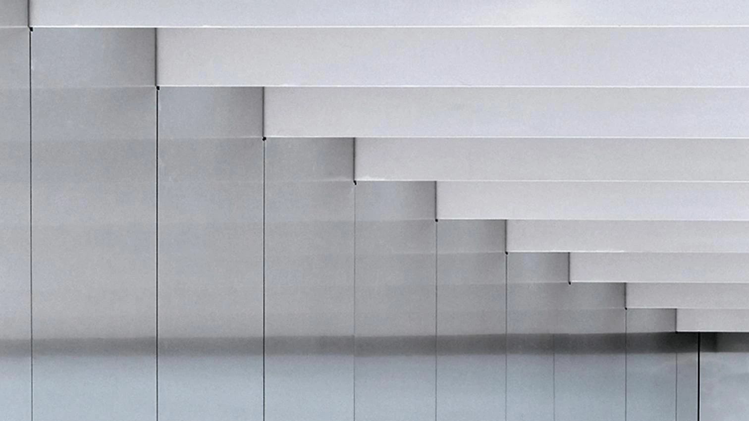 Ilusiones verdaderas