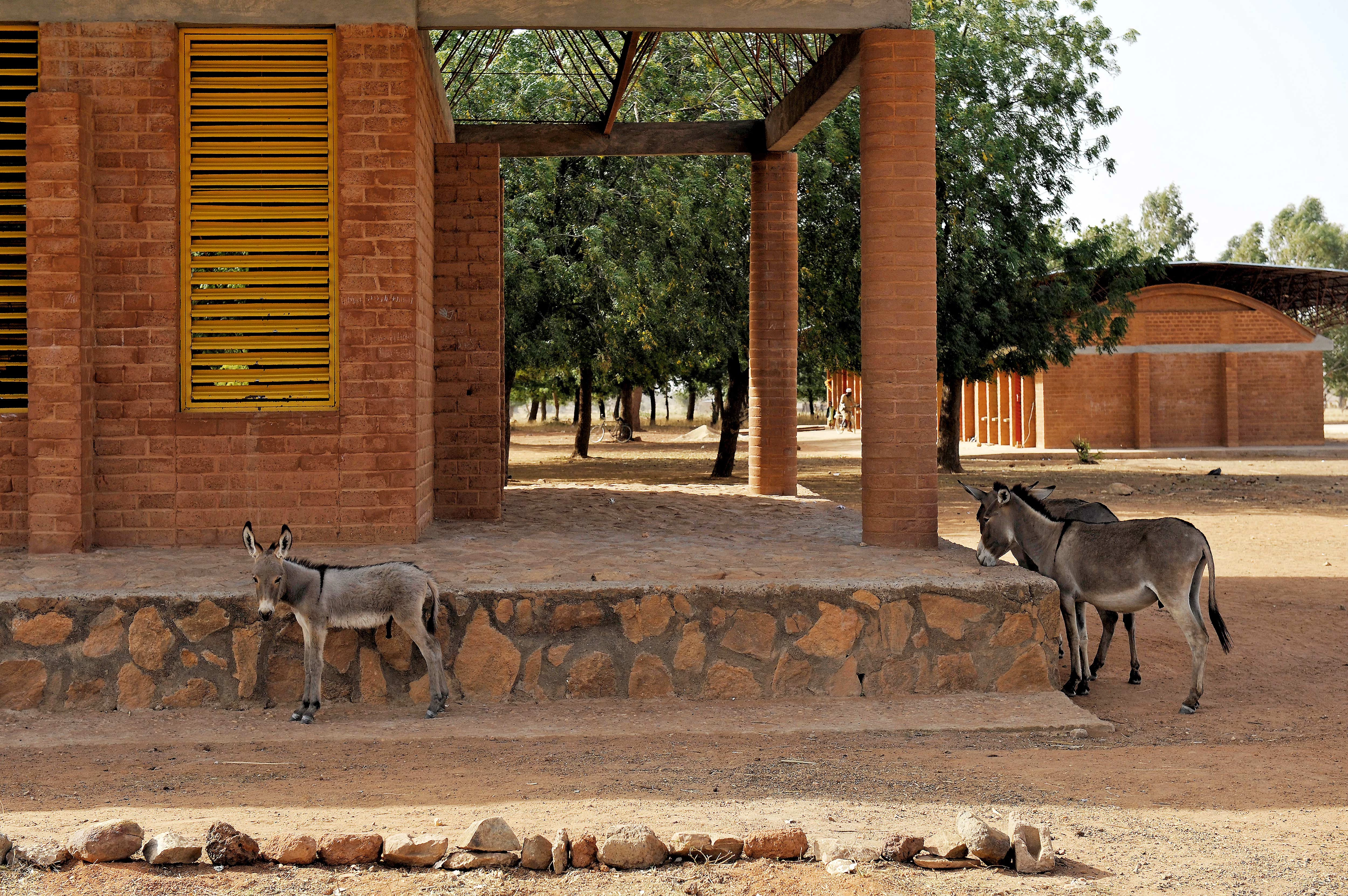 El arte de la realidad