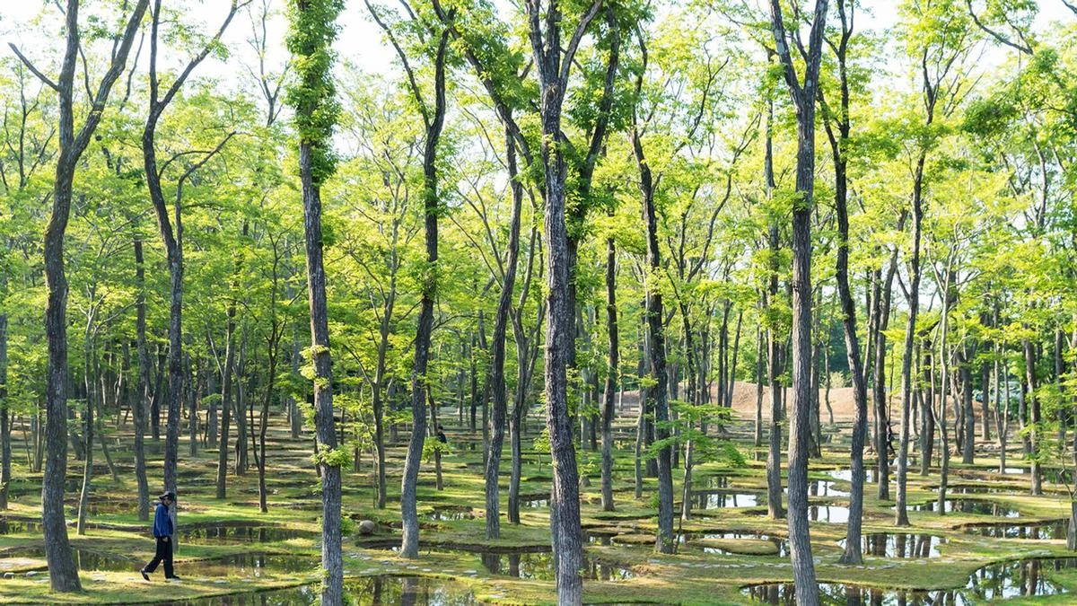The Water Garden by Junya Ishigami