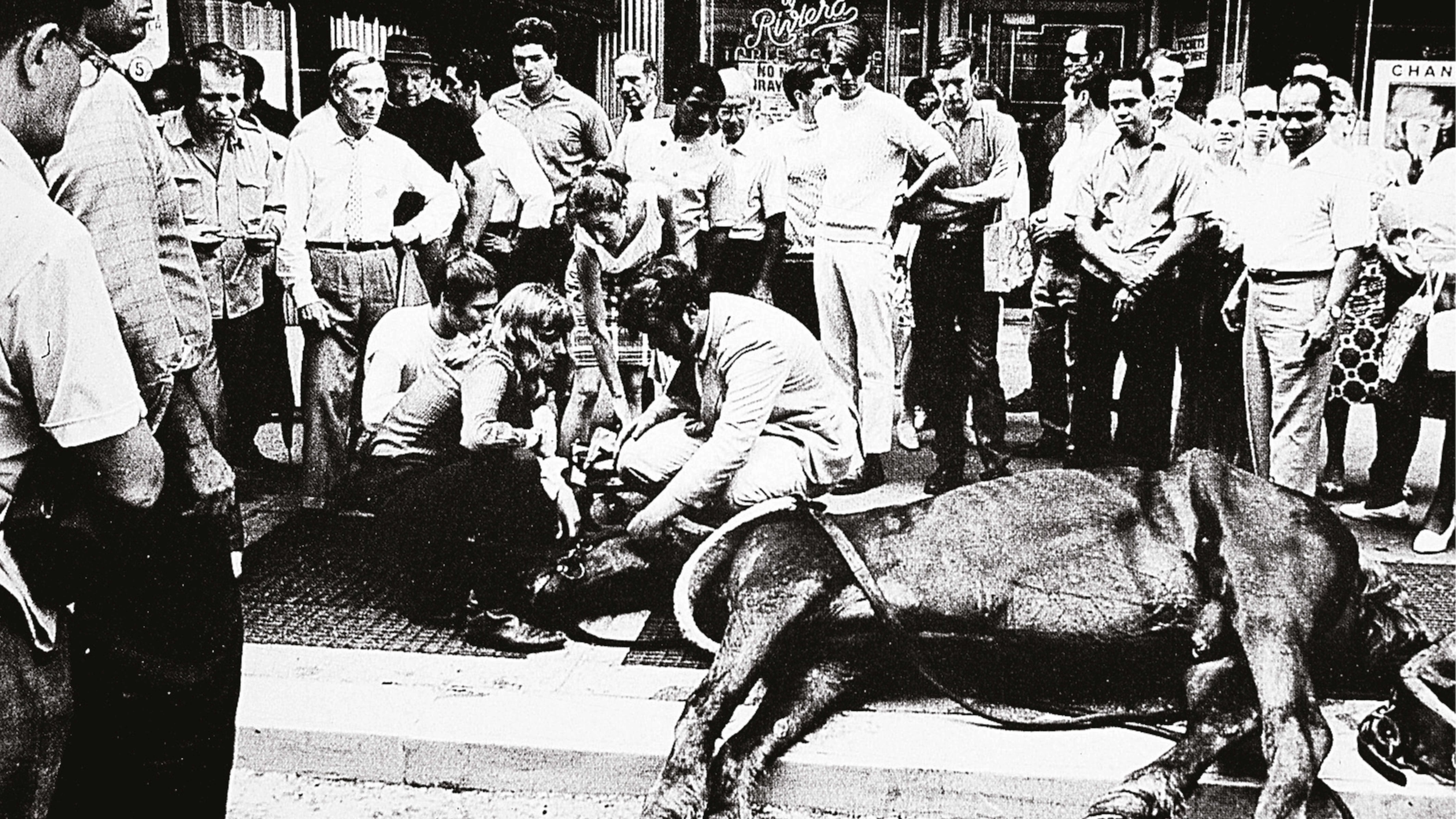 El rebaño desnudo. Dolor y domesticación humana