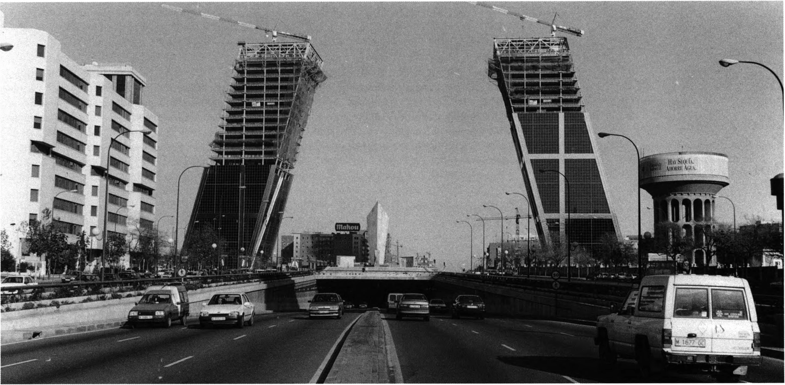 The Decline of the Rose