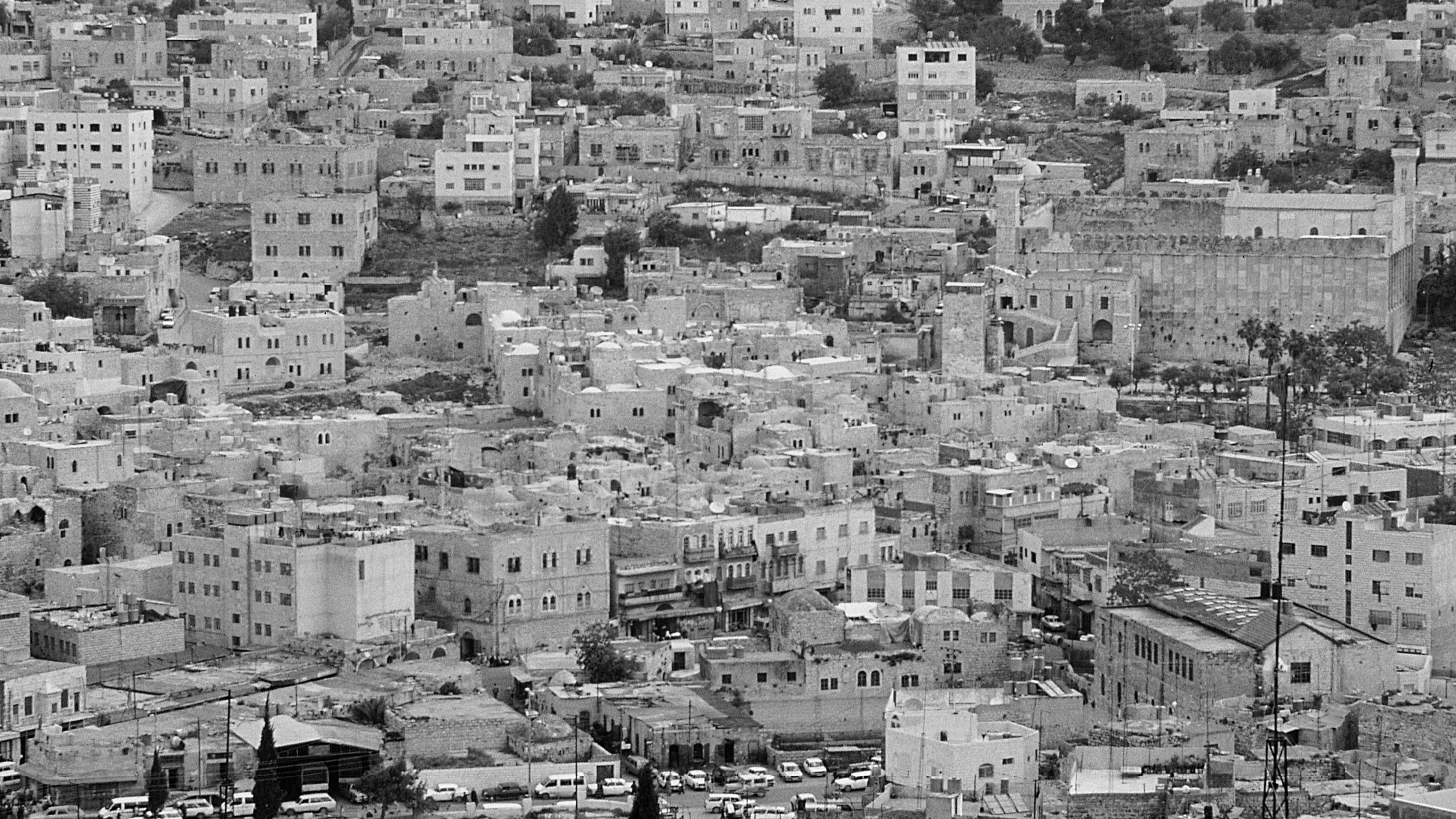 Fundamentos islámicos