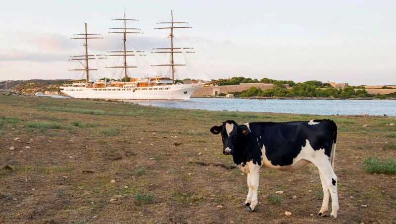 ¿Nos sobran visitantes?