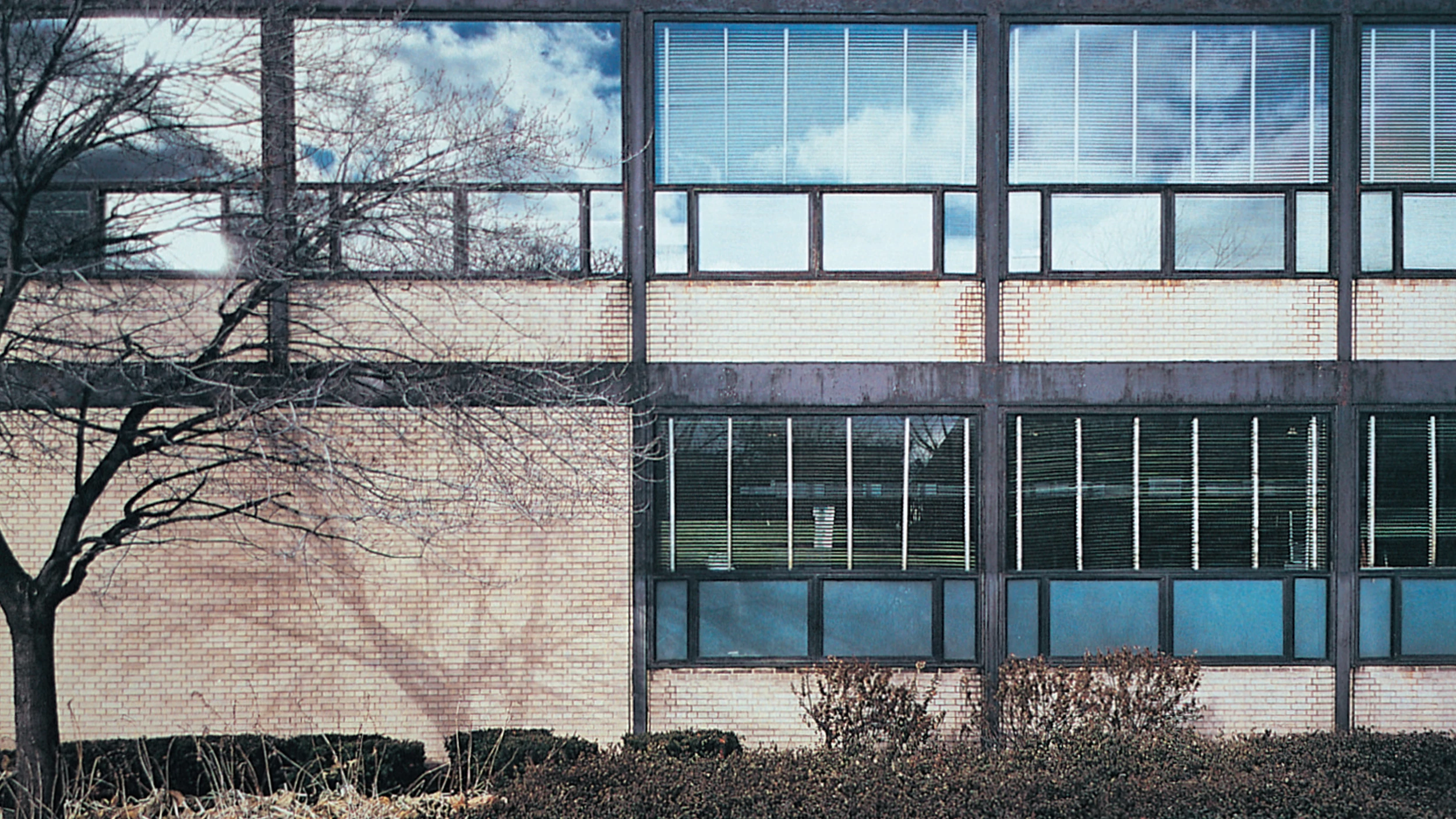 Mil páginas de Mies: ¿exaltación o revisión?