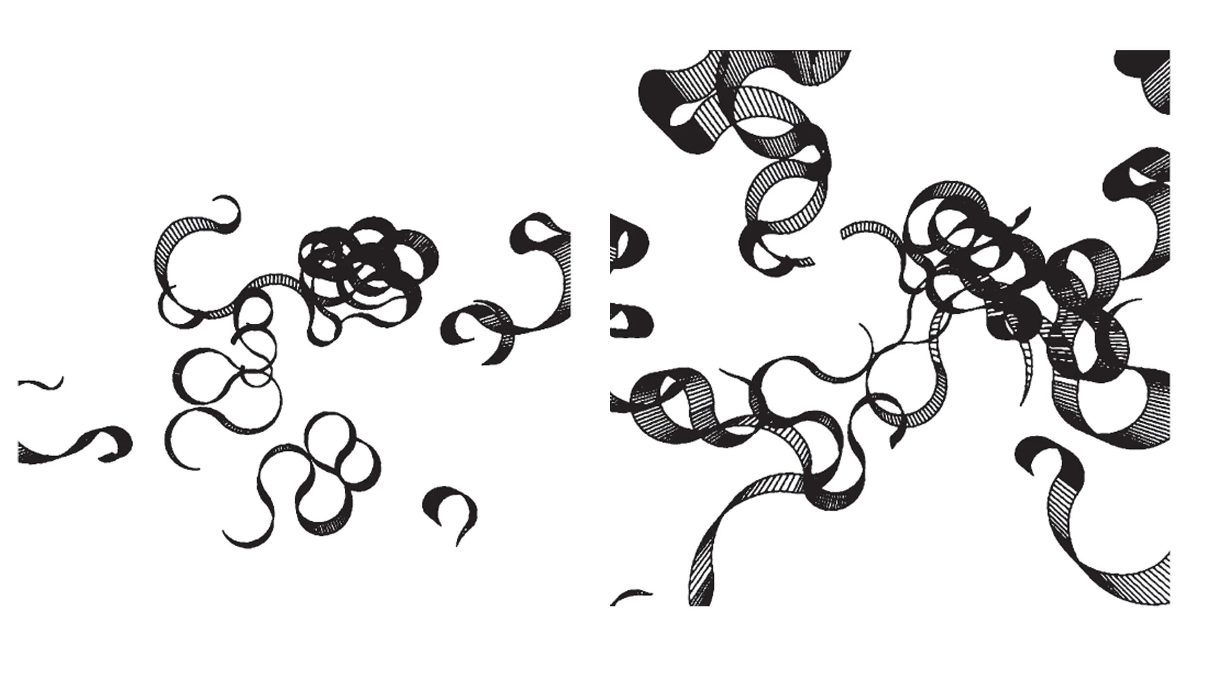 Maestros ingenieros: 25 estructuras recientes