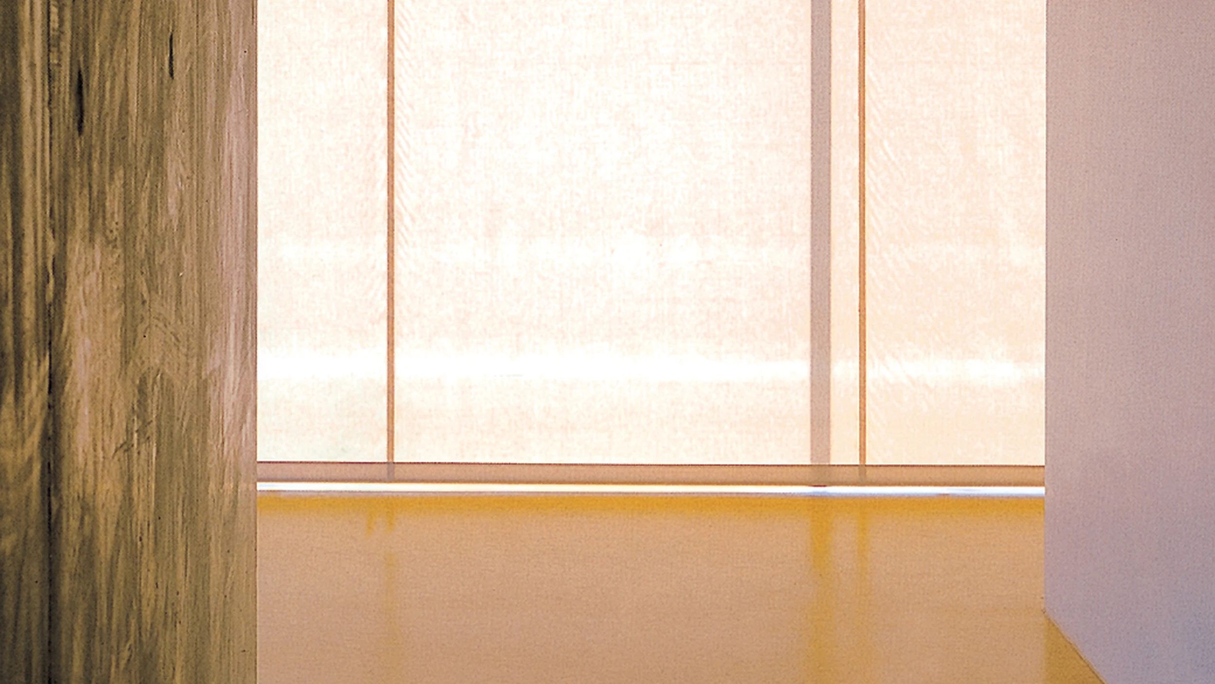 Baumschlager & Eberle, directos al grano