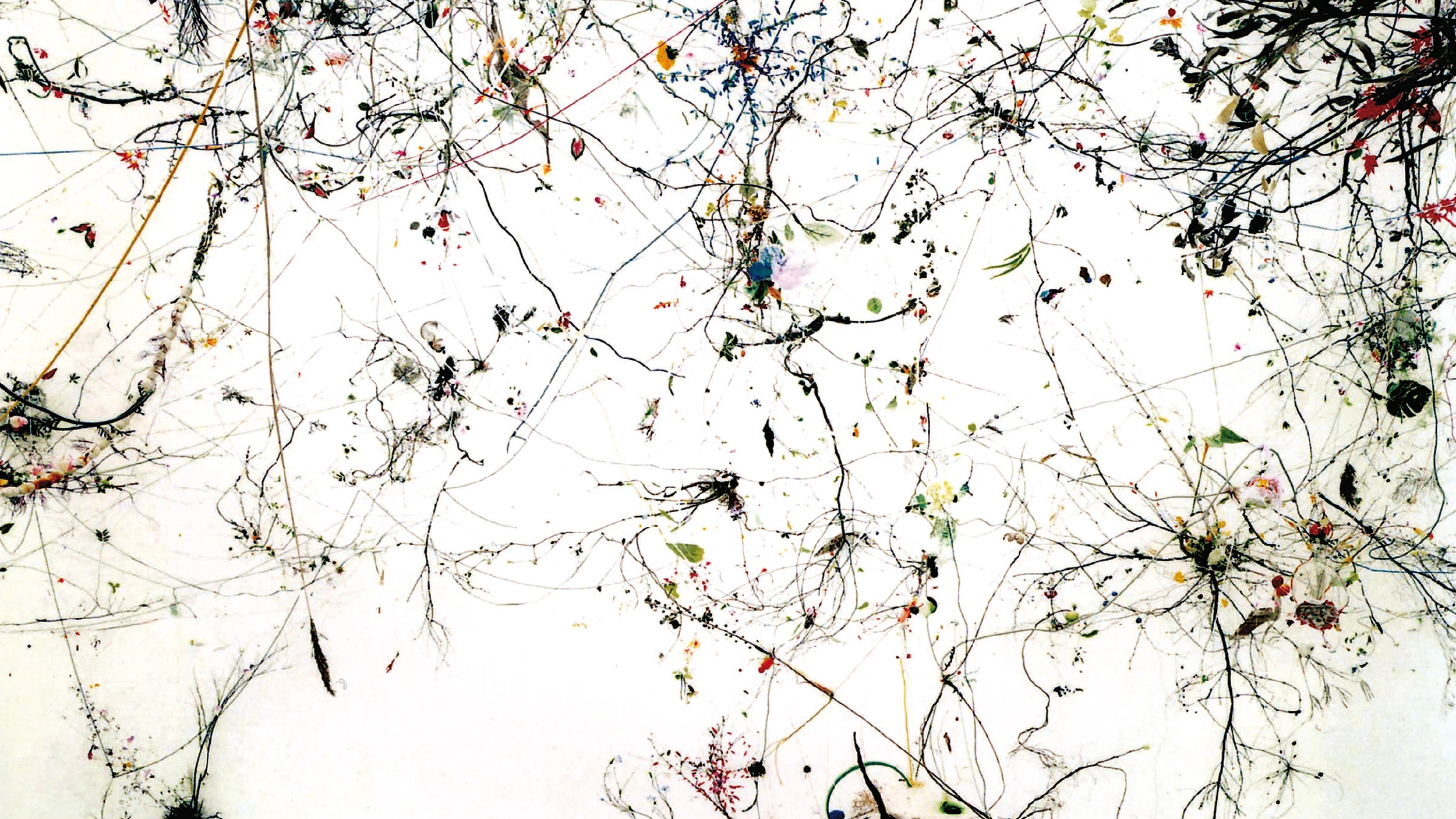 Sejima y Nishizawa, lo último de SANAA