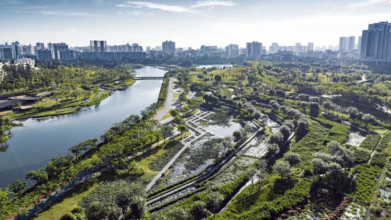 Las ‘ciudades esponja’ como respuesta al cambio climático