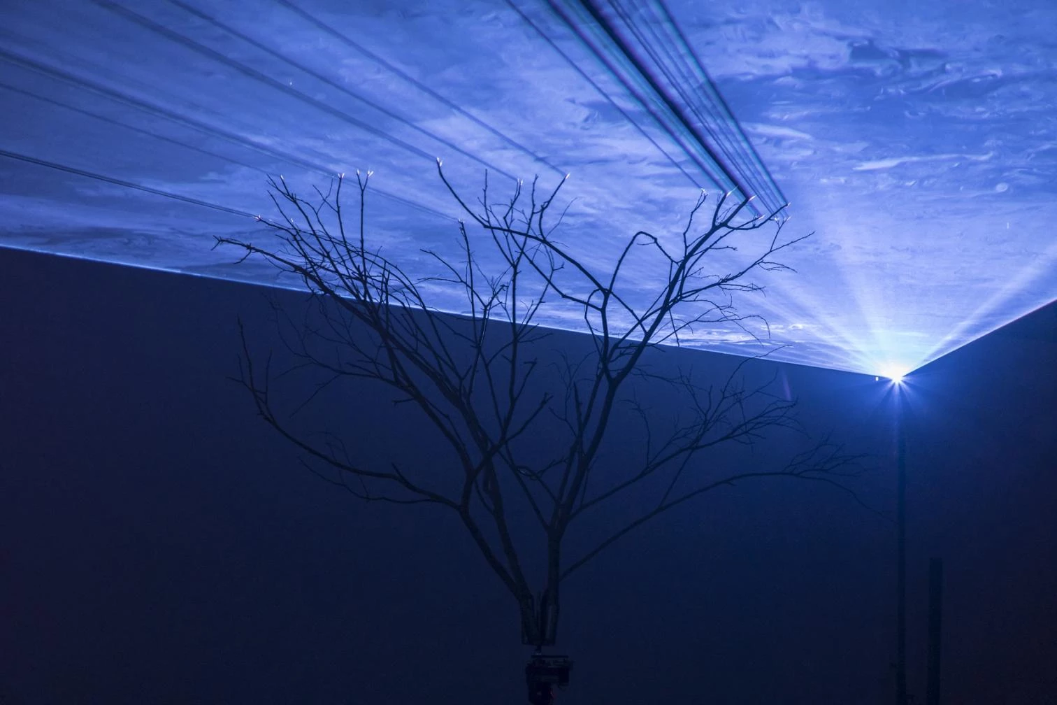 MDF: Fiat Lux 3, para Simon