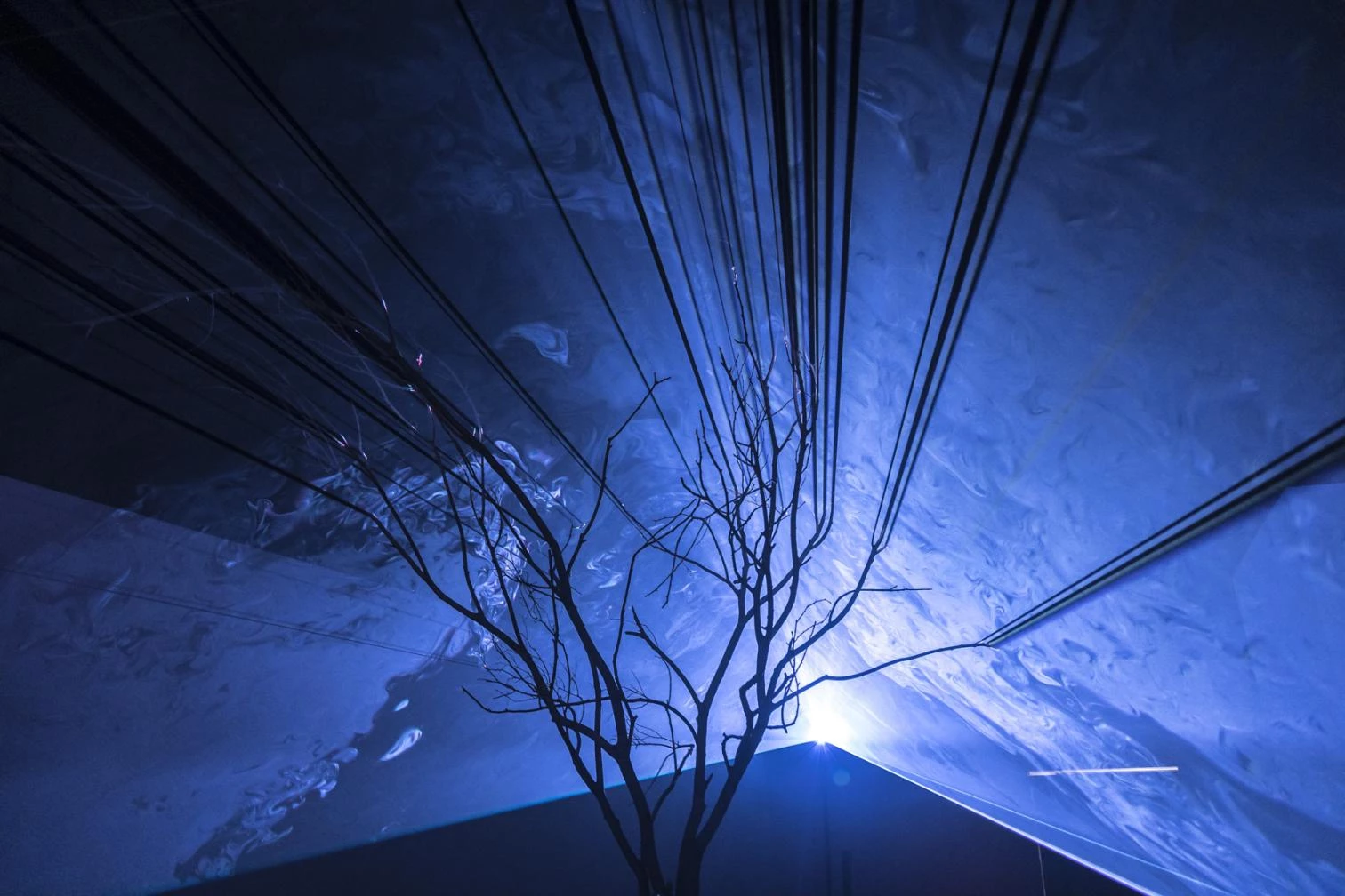 MDF: Fiat Lux 3, para Simon