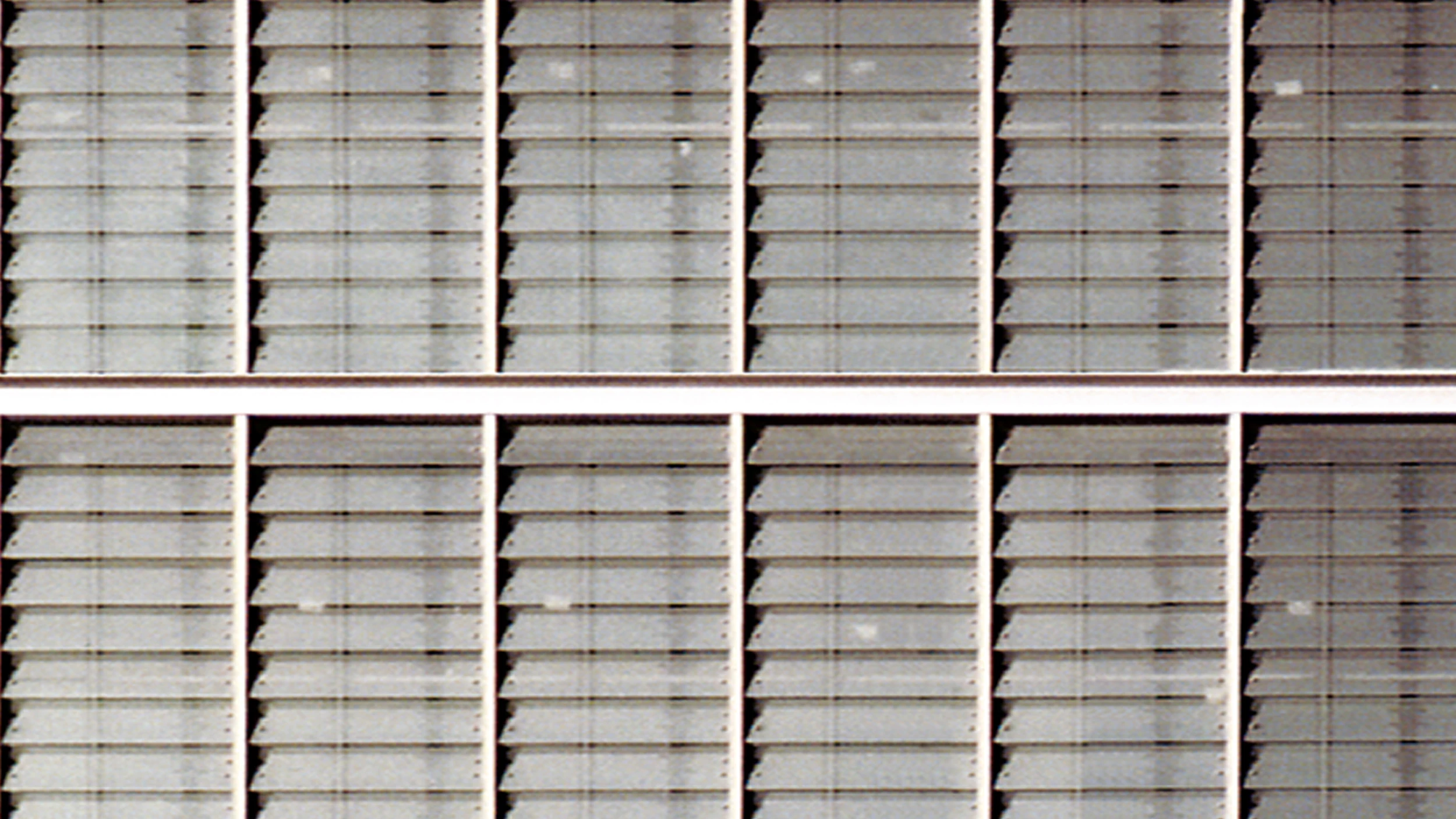 Retrato exhaustivo del recinto de la Expo