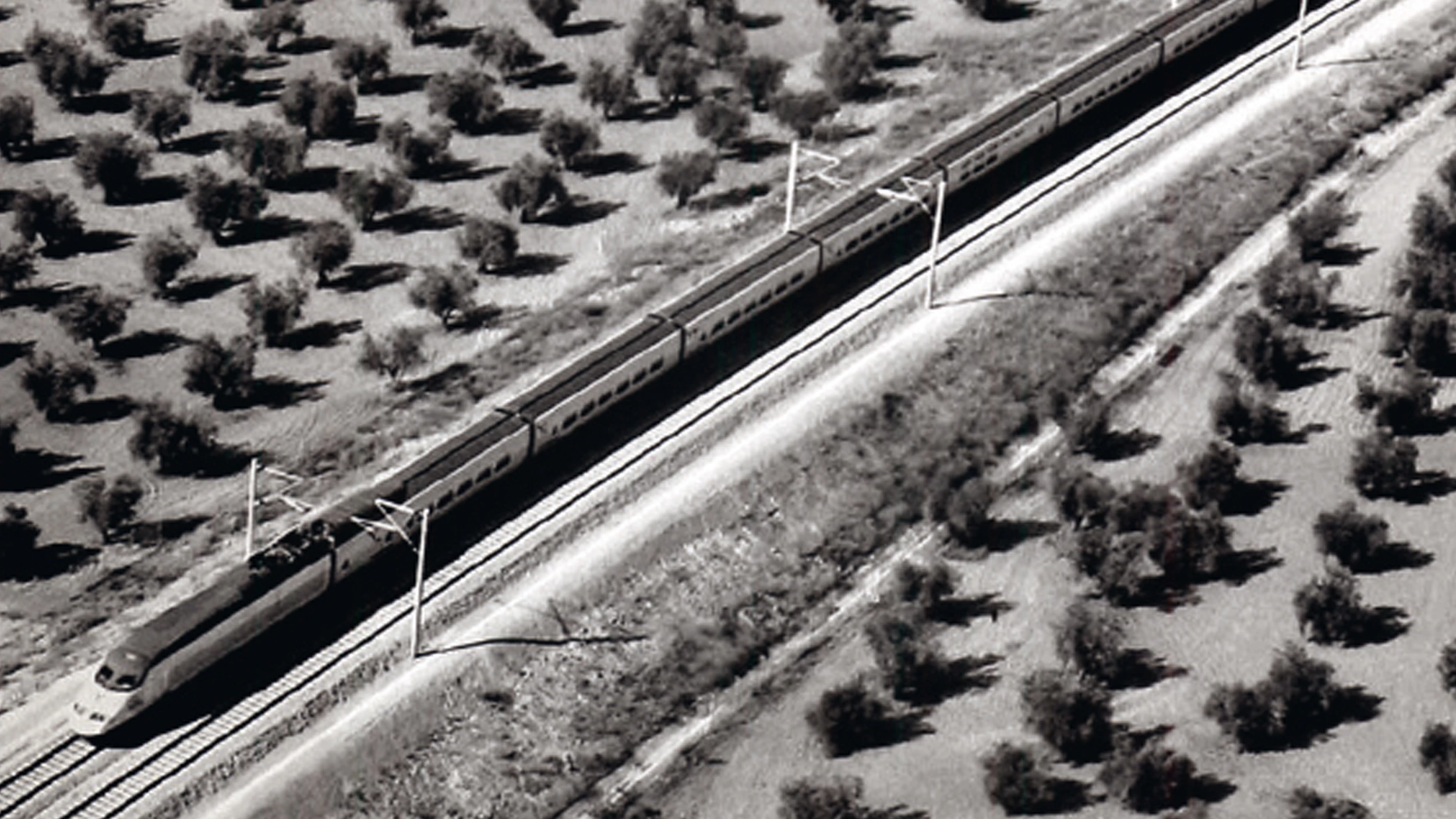 Trazas en el territorio