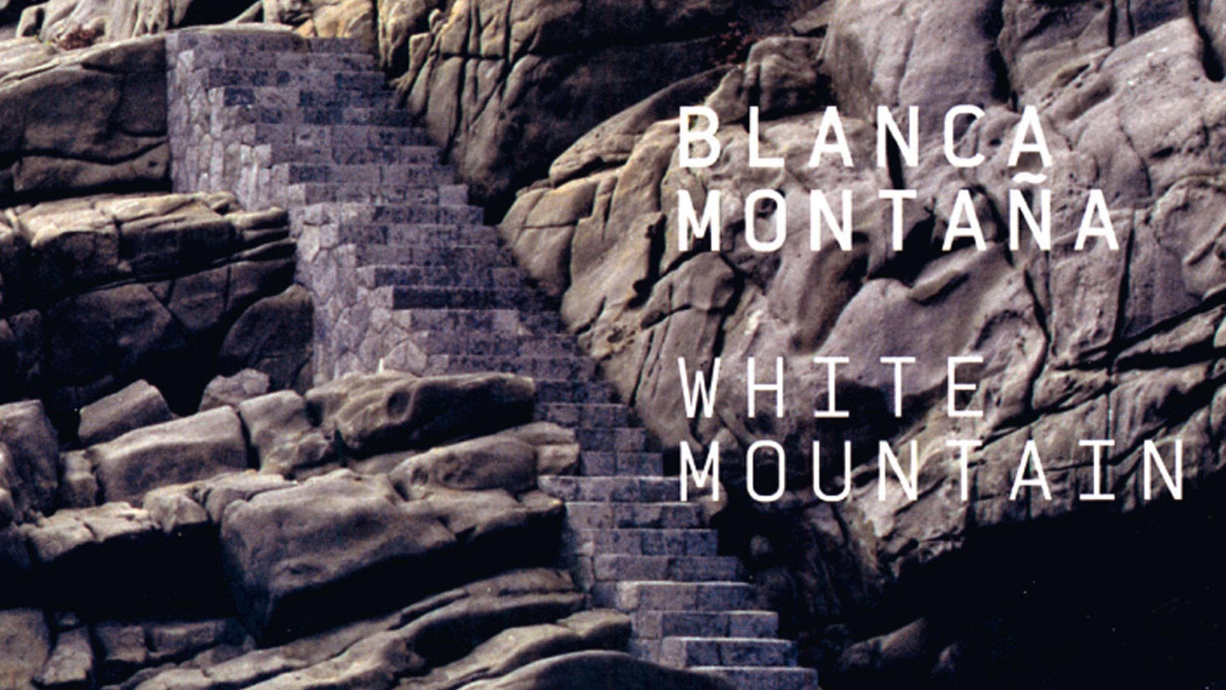 Sangre nueva del Sur