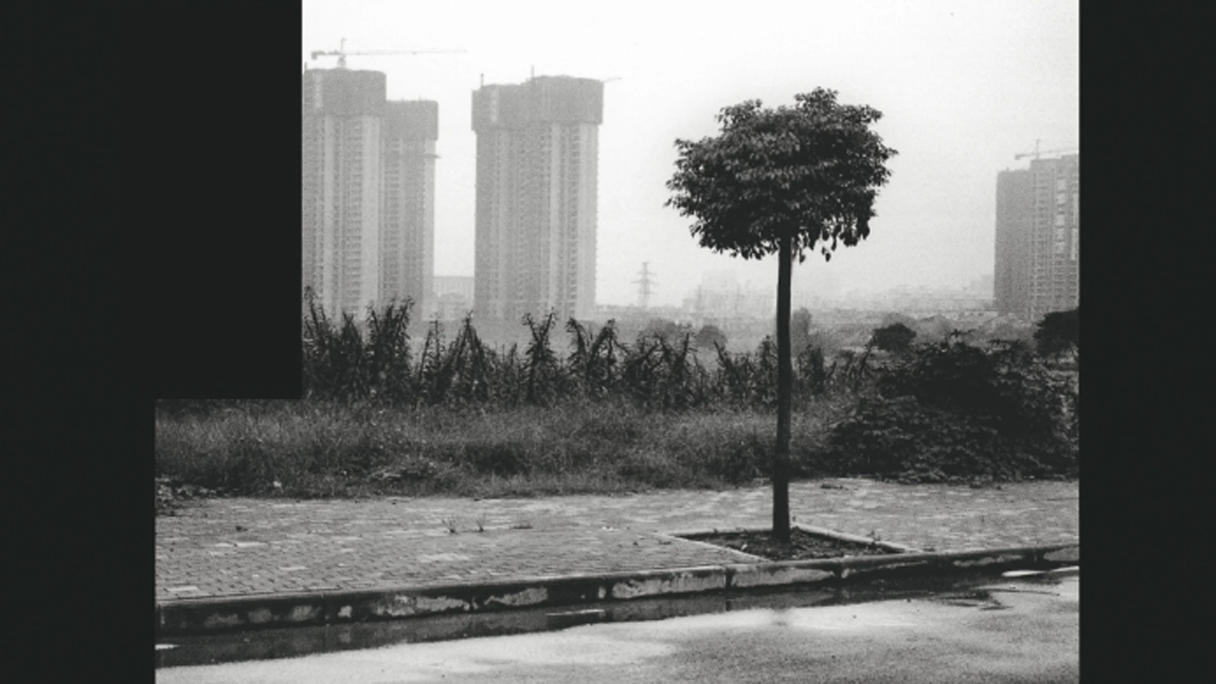 Pretextos para un manual