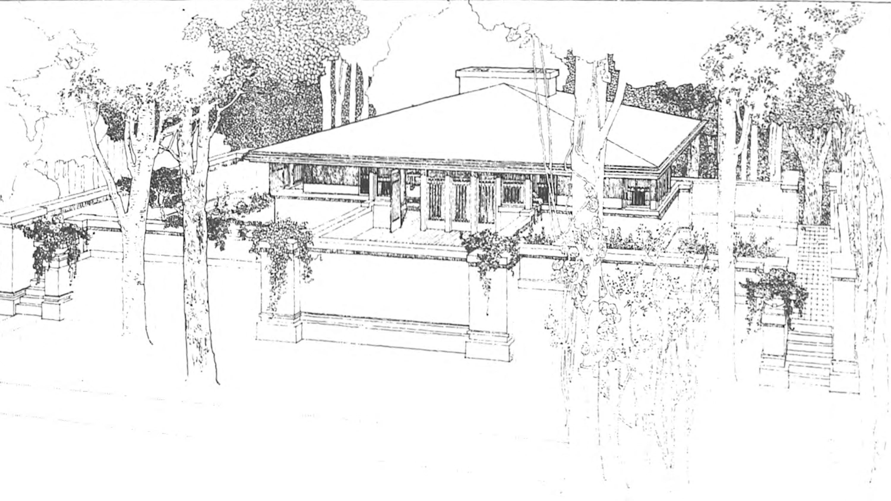 El sueño del Paraíso