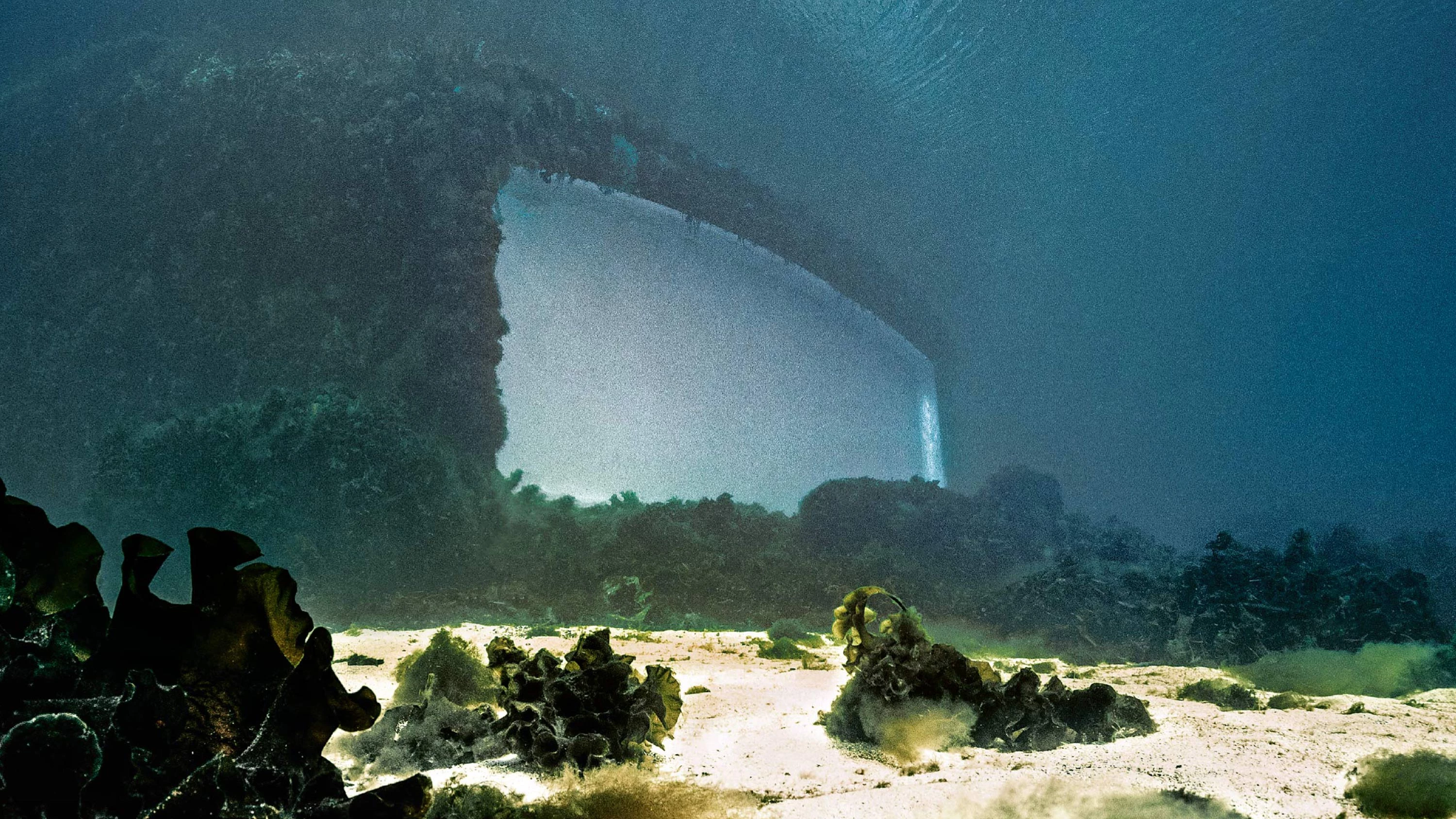 AV Monografías 246: Snøhetta