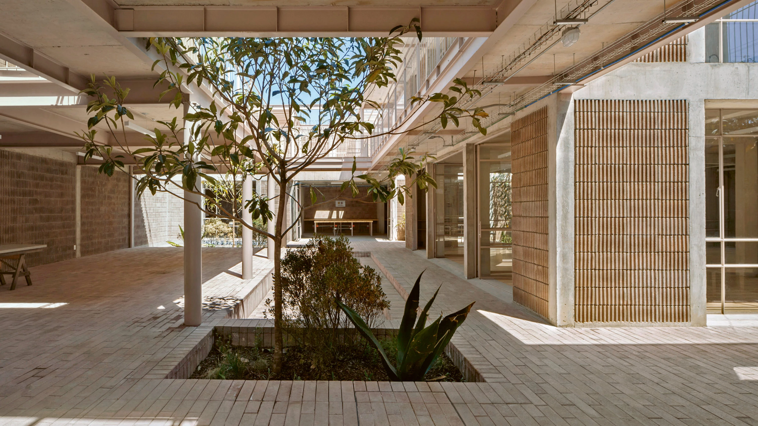 Rozana Montiel en la Ciudad de México