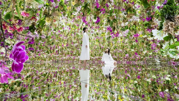teamLab Planets digital art museum in Tokyo