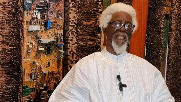 Demas Nwoko, Golden Lion