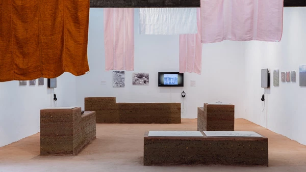 Brasil gana el León de Oro de la Bienal