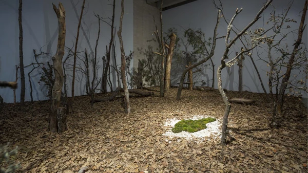 Ana Mendieta. En búsqueda del origen