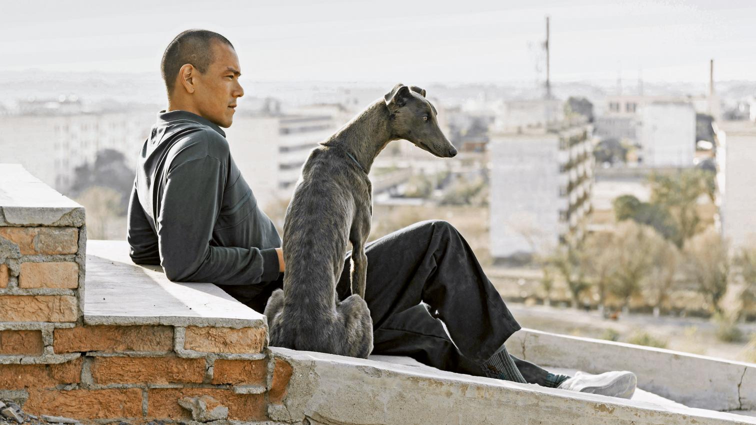 Pantallas políticas