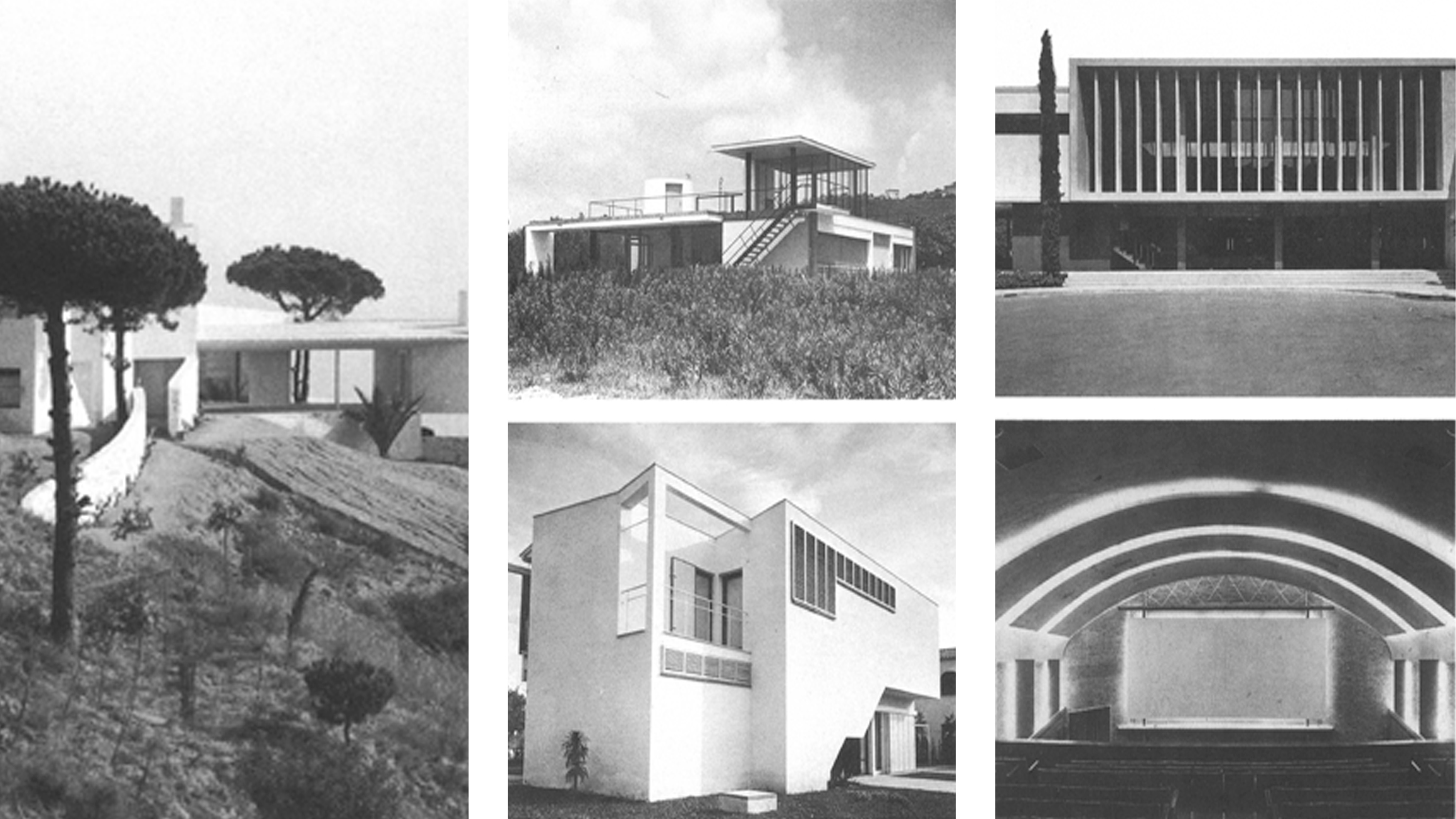 Modern Mediterraneans