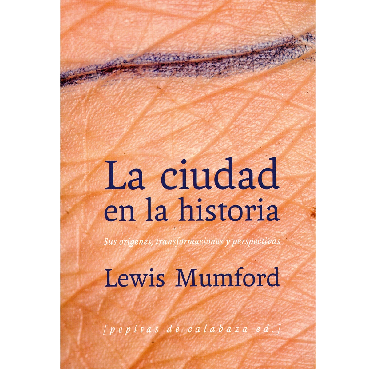 La ciudad en la historia