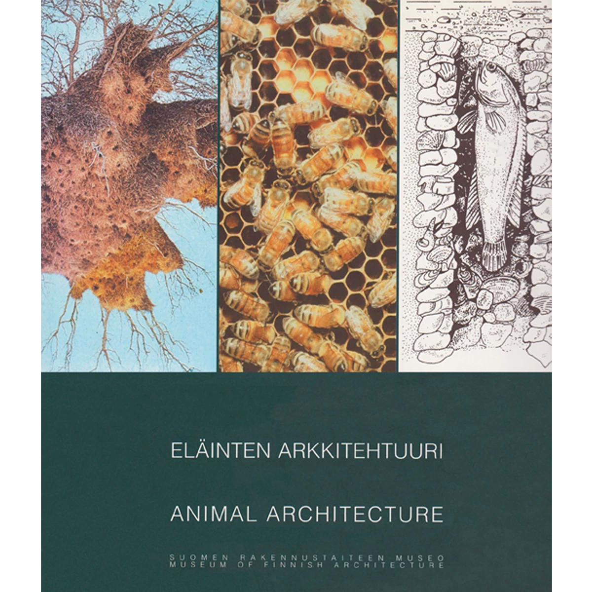 Animal Architecture