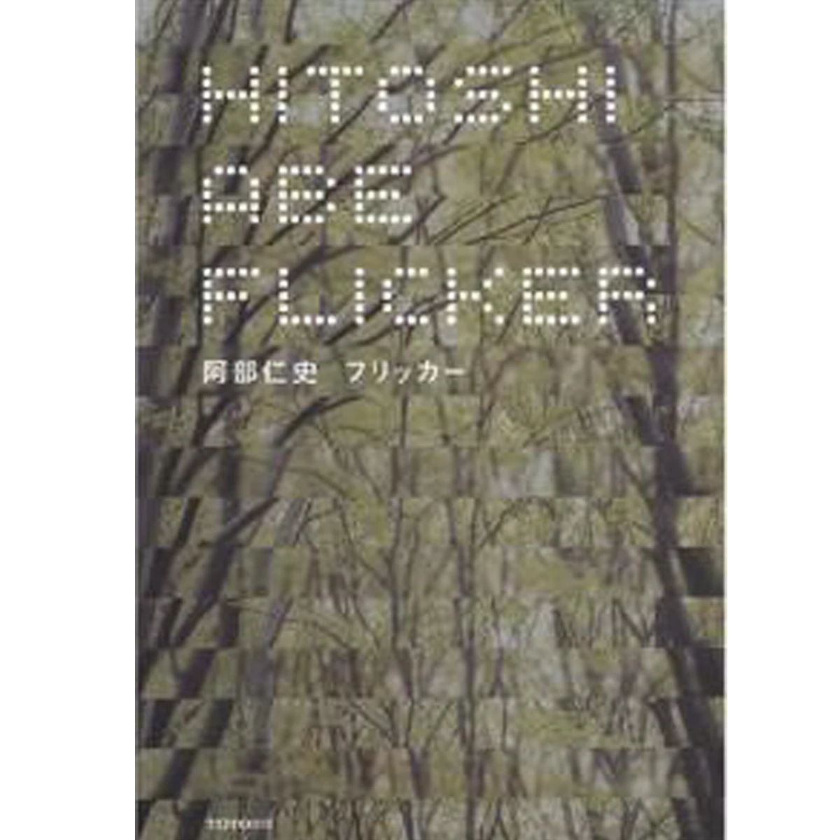 Hitoshi Abe, Flicker