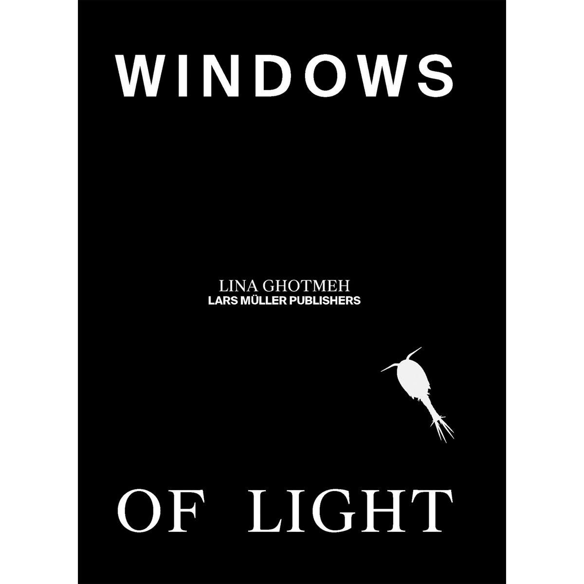 Windows of Light