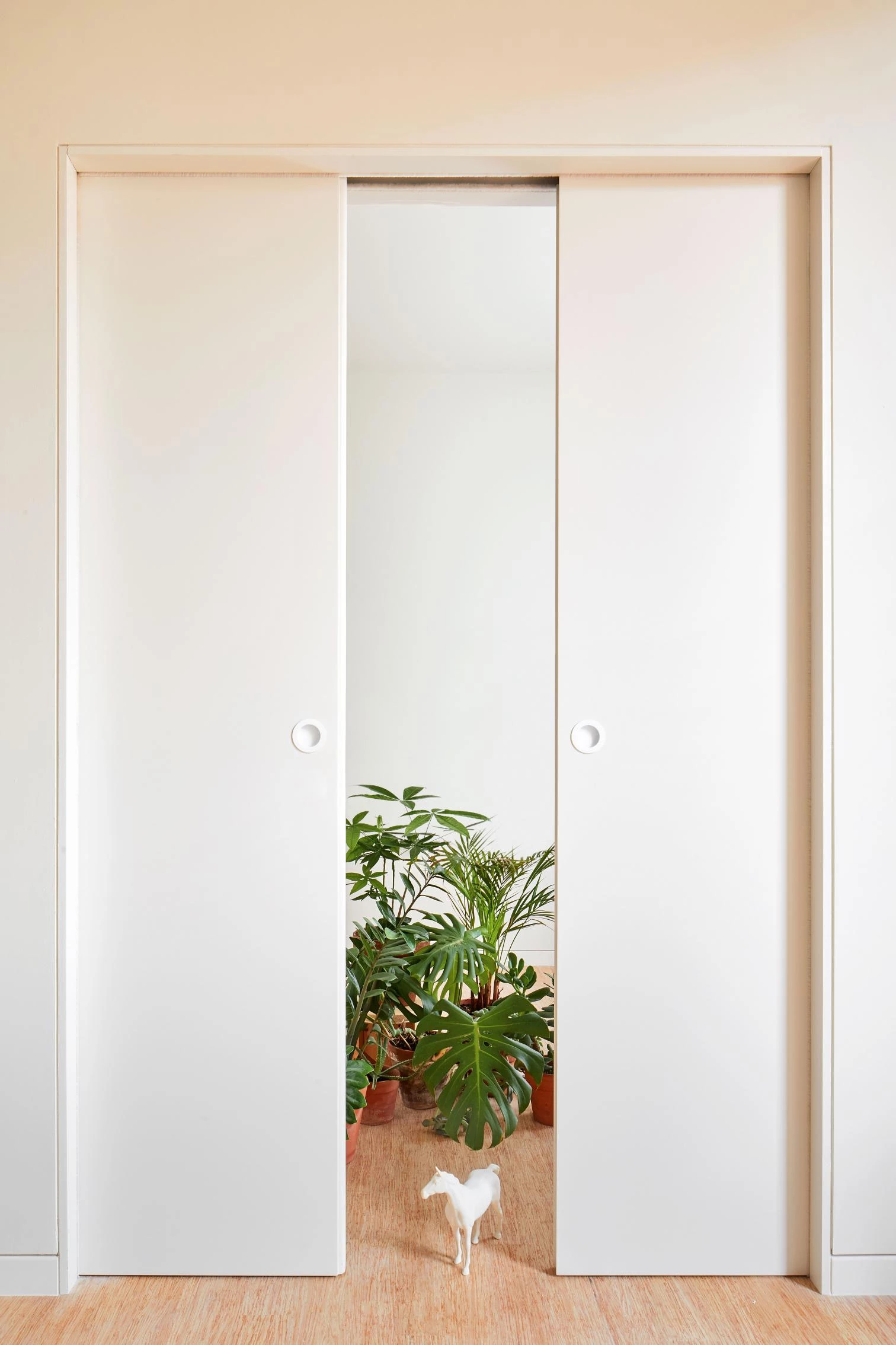 22 viviendas en Calle Provença