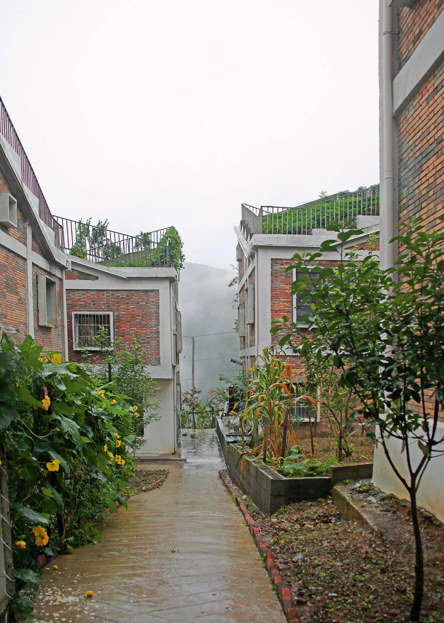 Reconstrucción del pueblo de Jintai