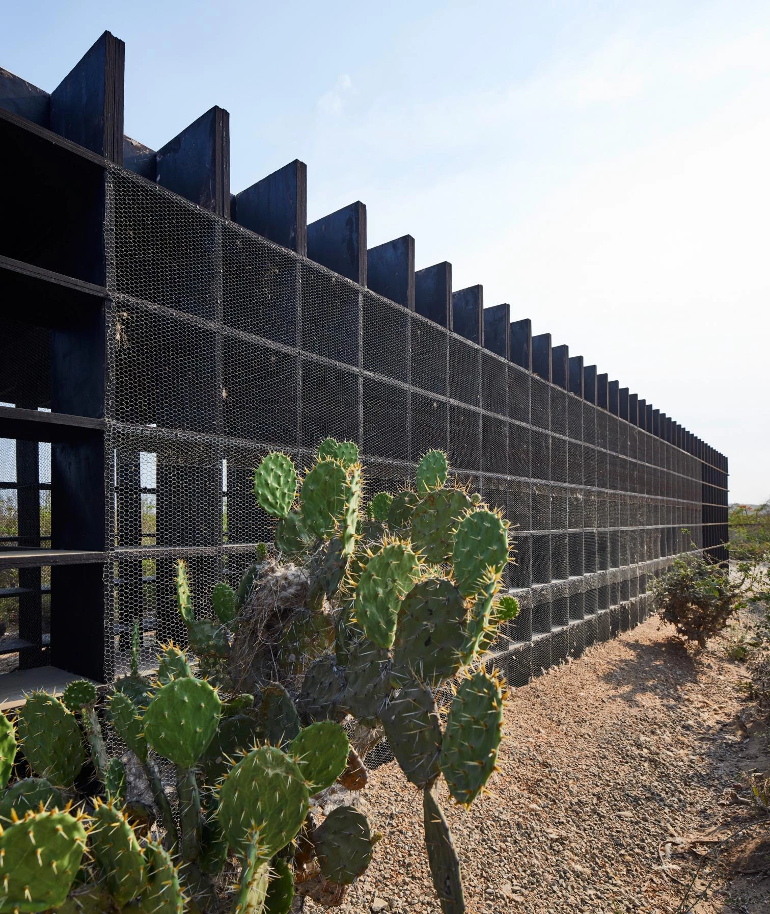 Gallinero, Puerto Escondido