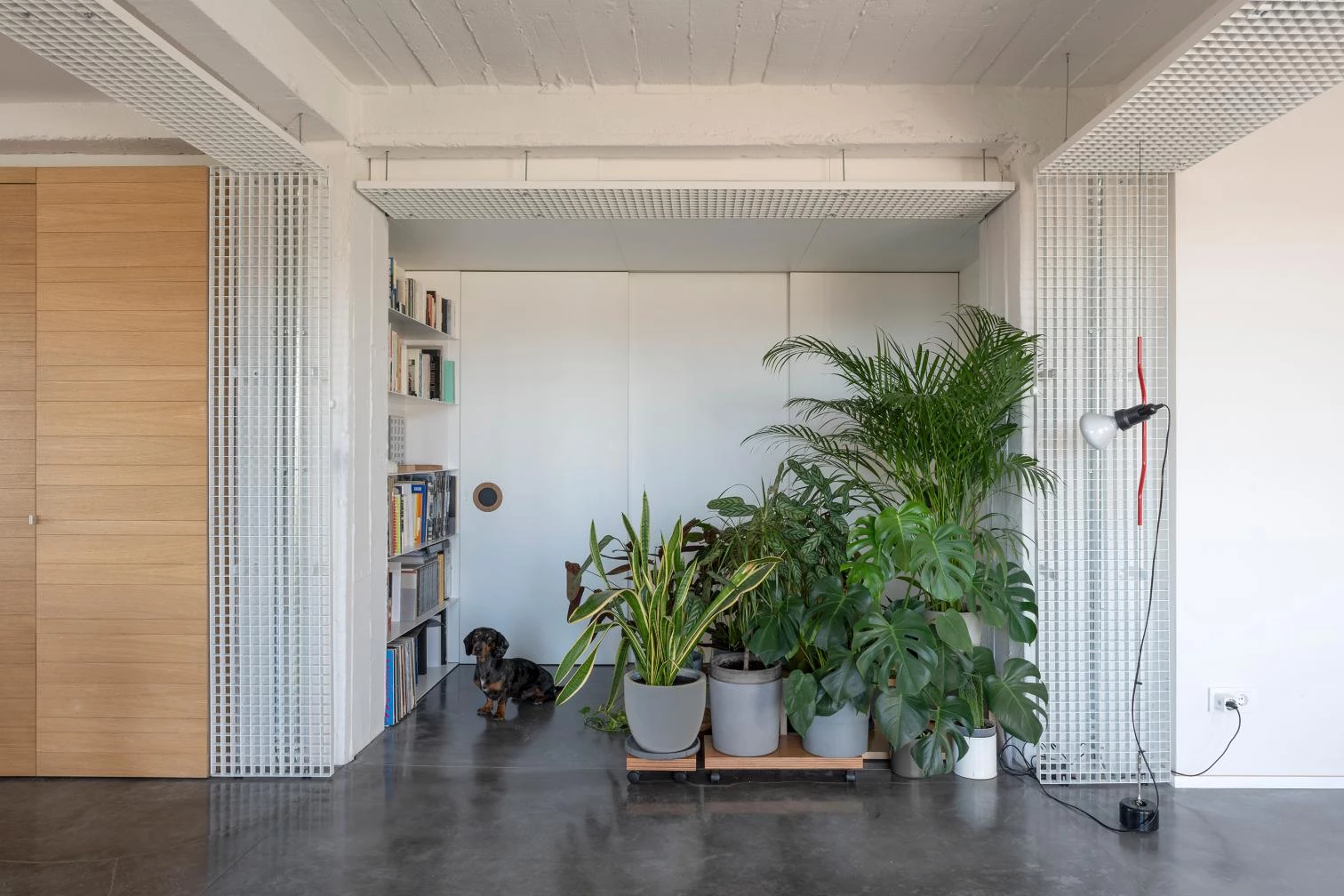 Non-Binary Cross Space, Madrid