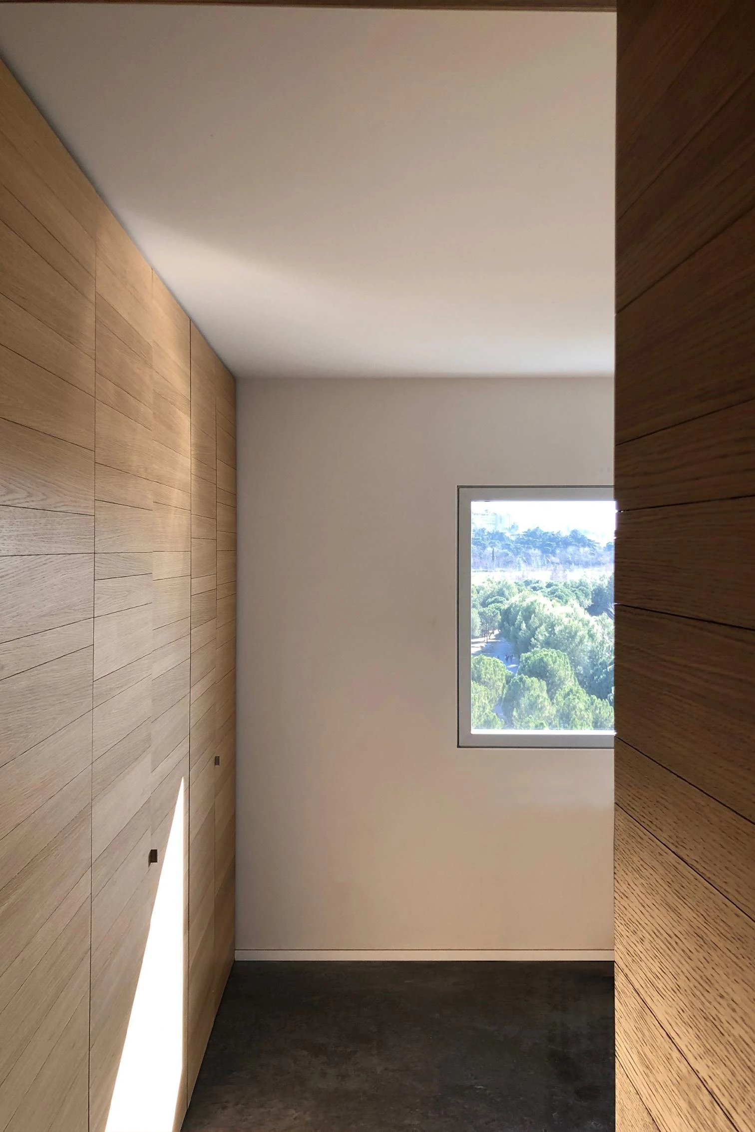 Non-Binary Cross Space, Madrid