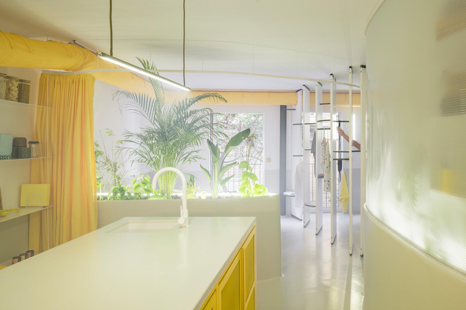 Corrigan estudio en Pinto