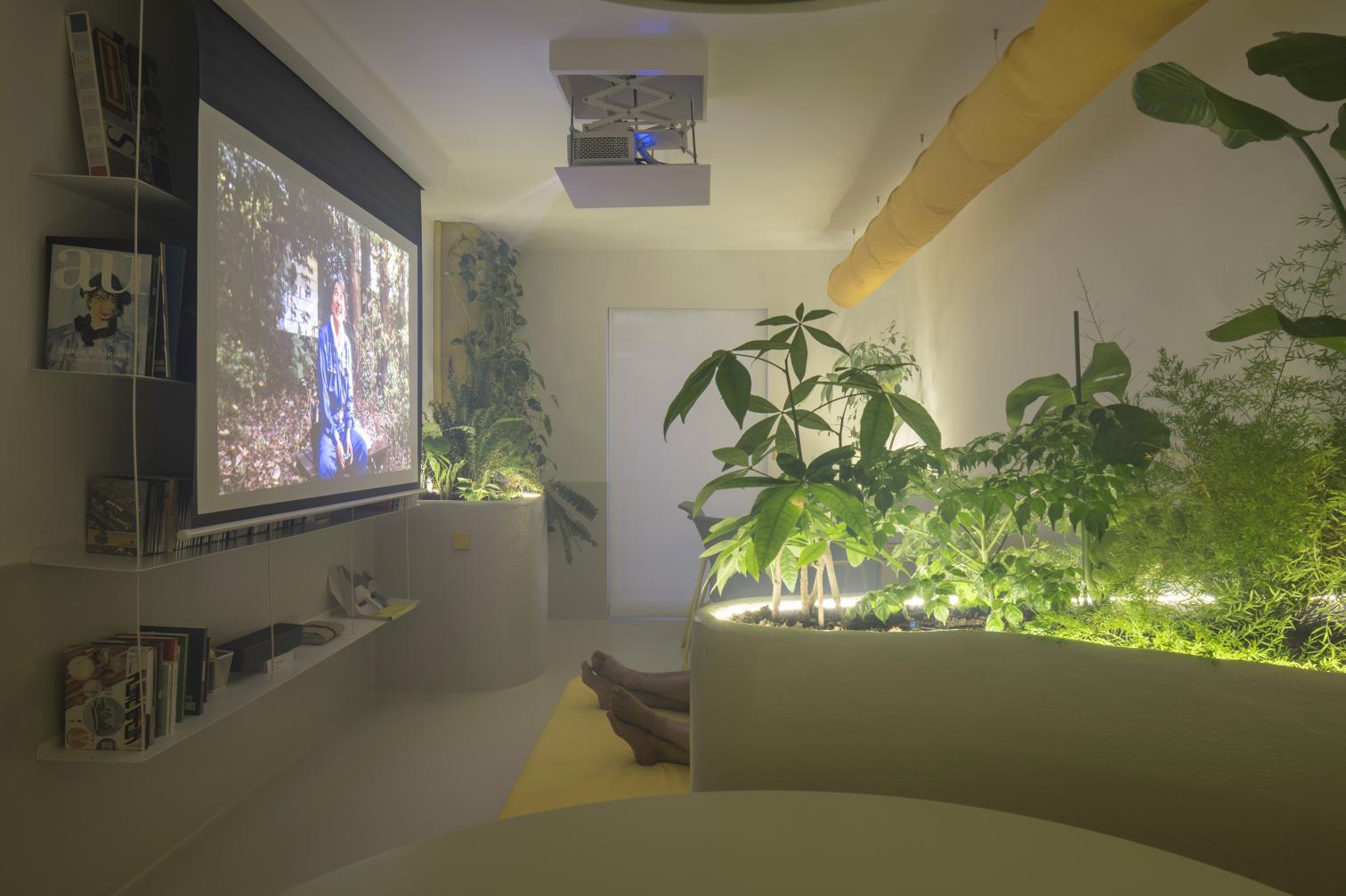 Corrigan estudio en Pinto