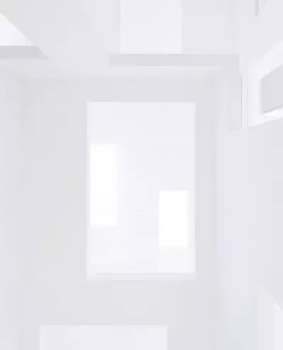 Sou Fujimoto Architects